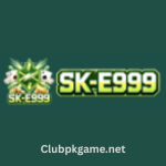 E999 Game